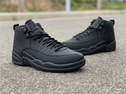 AIR JORDAN 12