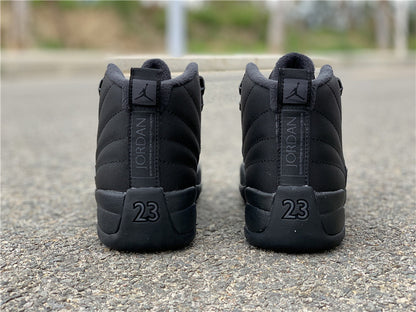 AIR JORDAN 12