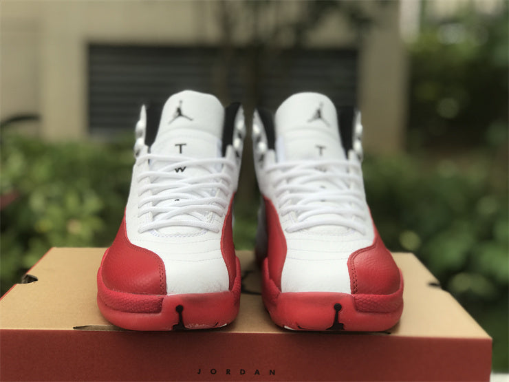 AIR JORDAN 12