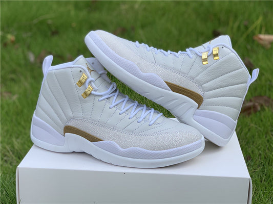 AIR JORDAN 12