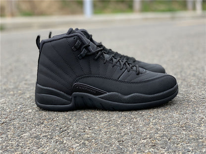 AIR JORDAN 12