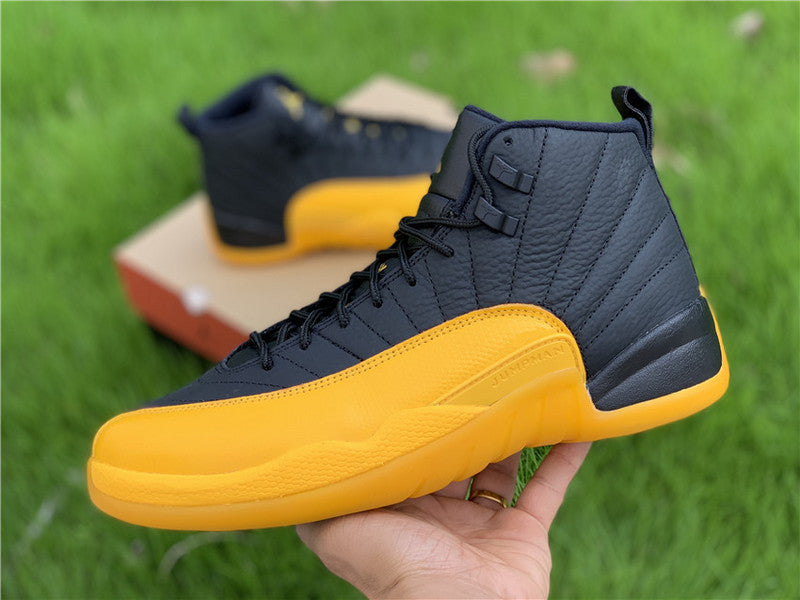 AIR JORDAN 12