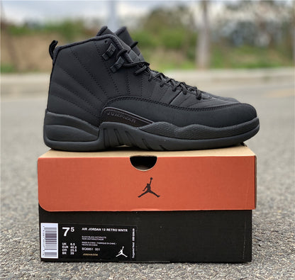 AIR JORDAN 12