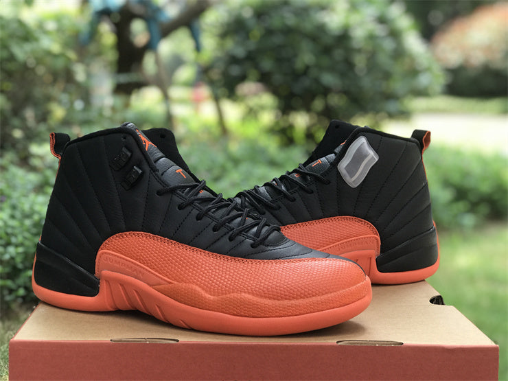 AIR JORDAN 12