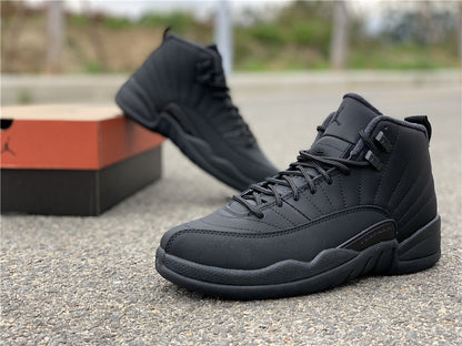 AIR JORDAN 12