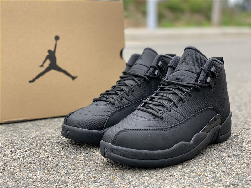 AIR JORDAN 12