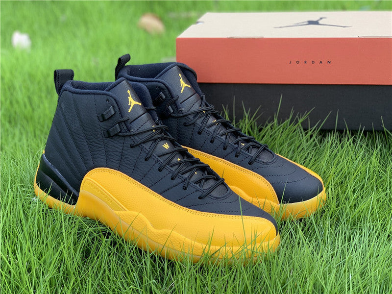 AIR JORDAN 12