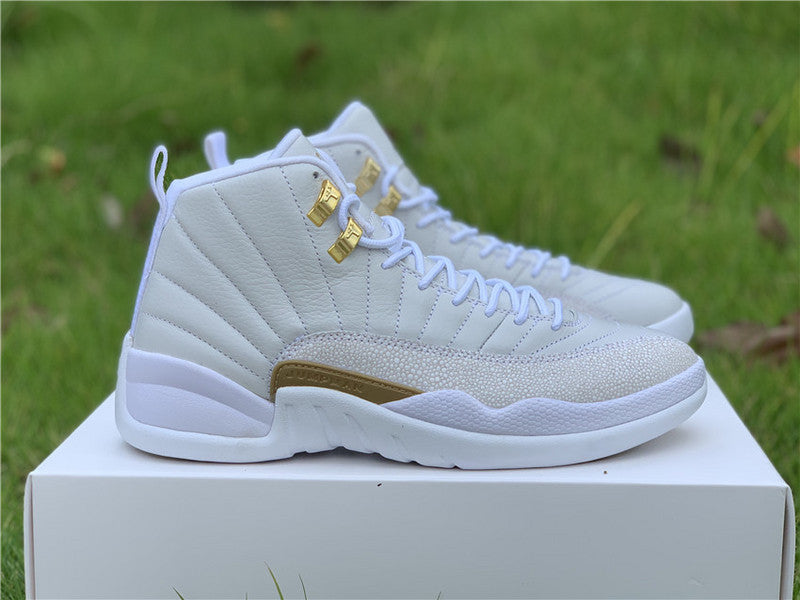 AIR JORDAN 12