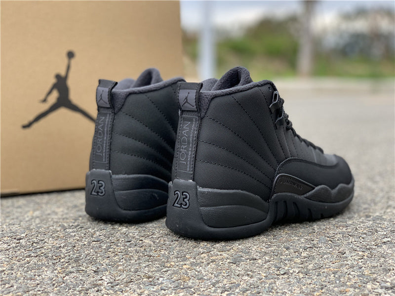 AIR JORDAN 12