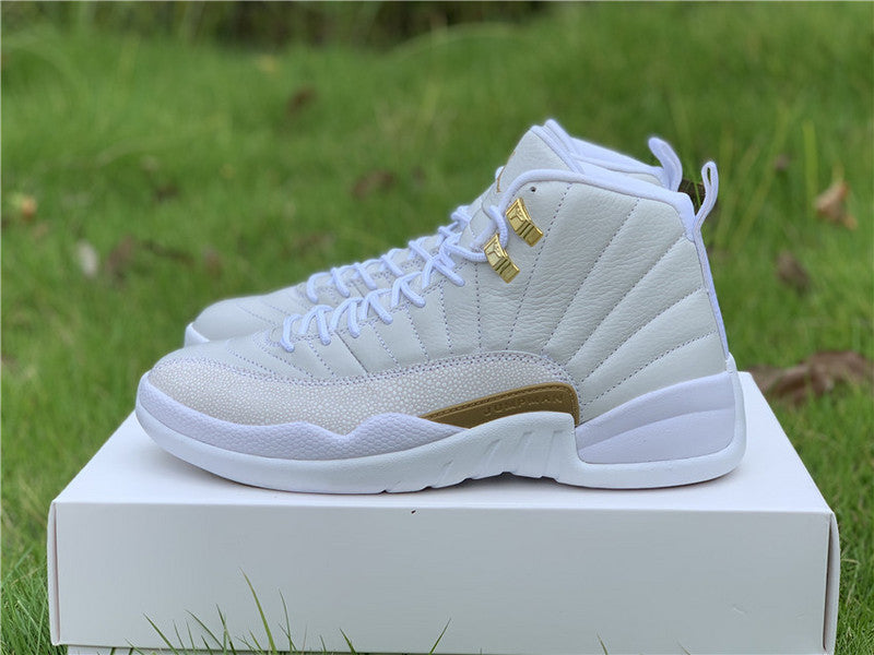 AIR JORDAN 12