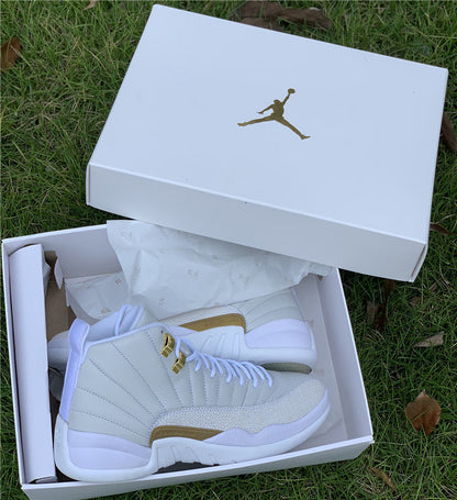 AIR JORDAN 12