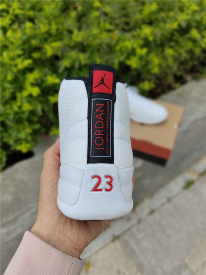 AIR JORDAN 12