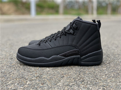 AIR JORDAN 12