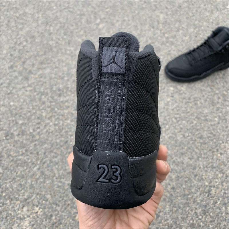 AIR JORDAN 12